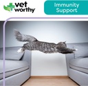 vet-worthy-lysine-paw-gel-aid-for-cats---4.jpg