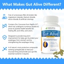 gut-alive---all-natural-support-to-fight-2.jpg