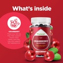 phytoral-extra-strength-cranberry-gummie-6.jpg