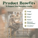 stress-energy-brain---fatigue-supplement-6.jpg
