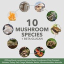 plantfusion-mushroom-protein-powder---3--5.jpg
