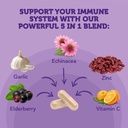 vitamin-bounty-elderberry-immune-support-6.jpg