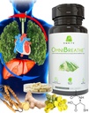 omnibreathe-respiratory-wellness-lung-su-2.jpg