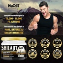 20-gr---shilajit-resinand-immune-support-6.jpg