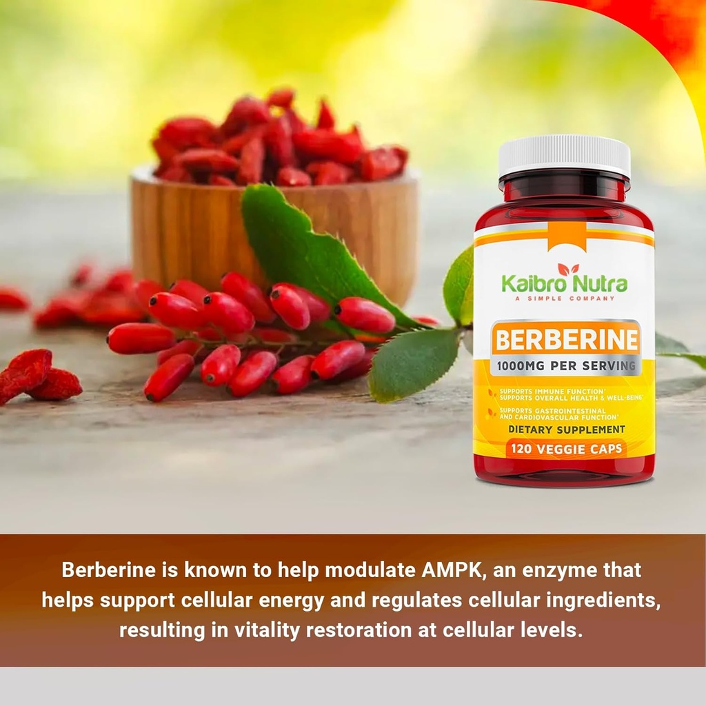 kaibro-nutra-berberine-supplement-1000mg-5.jpg