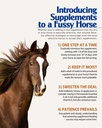 pennwoods-gi-renew-probiotics-for-equine-4.jpg