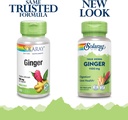 solaray-ginger-root-1100mg-healthy-diges-2.jpg