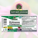 natures-answer-enchinacea-goldseal-suppo-2.jpg