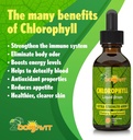 chlorophyll-liquid-drops-100-organic-veg-3.jpg