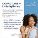 methylpro-l-methylfolate-15-mg-cofactors-2.jpg