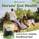 silver-lining-herbs-gut-support-horse-su-6.jpg