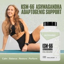nutrabio-ashwagandha-ksm-66-ashwaganda-h-2.jpg