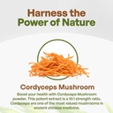 cordyceps-mushroom-powder-cordyceps-extr-3.jpg