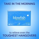 blowfish-wingman-for-hangovers-the-ultim-4.jpg