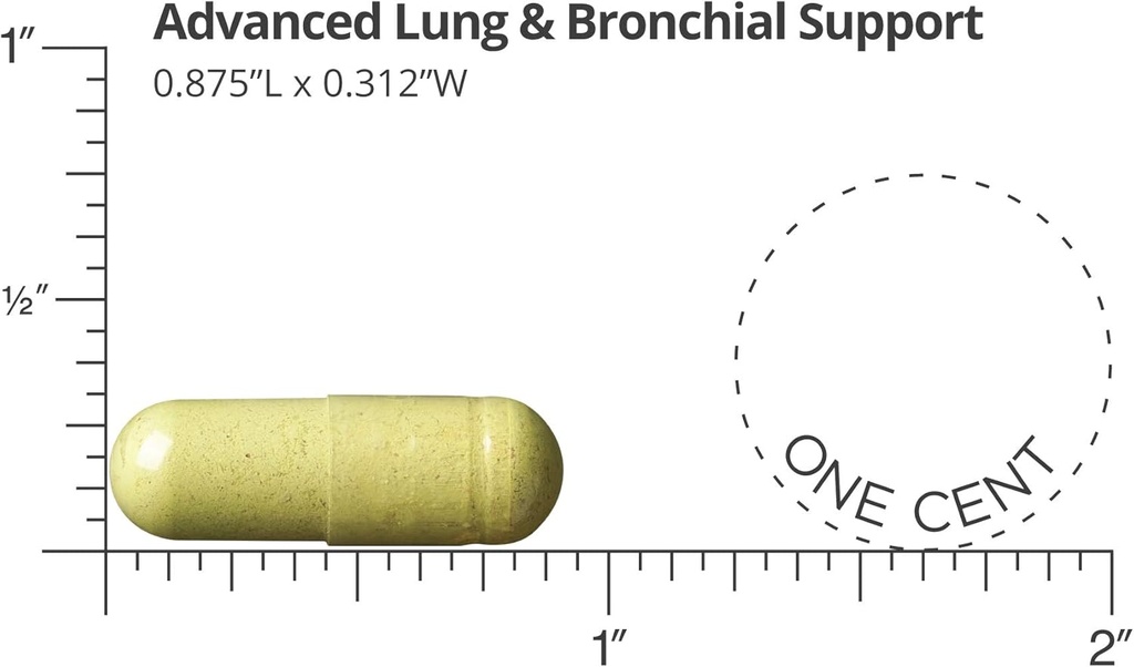 dr-sinatra-advanced-lung-bronchial-suppo-3.jpg