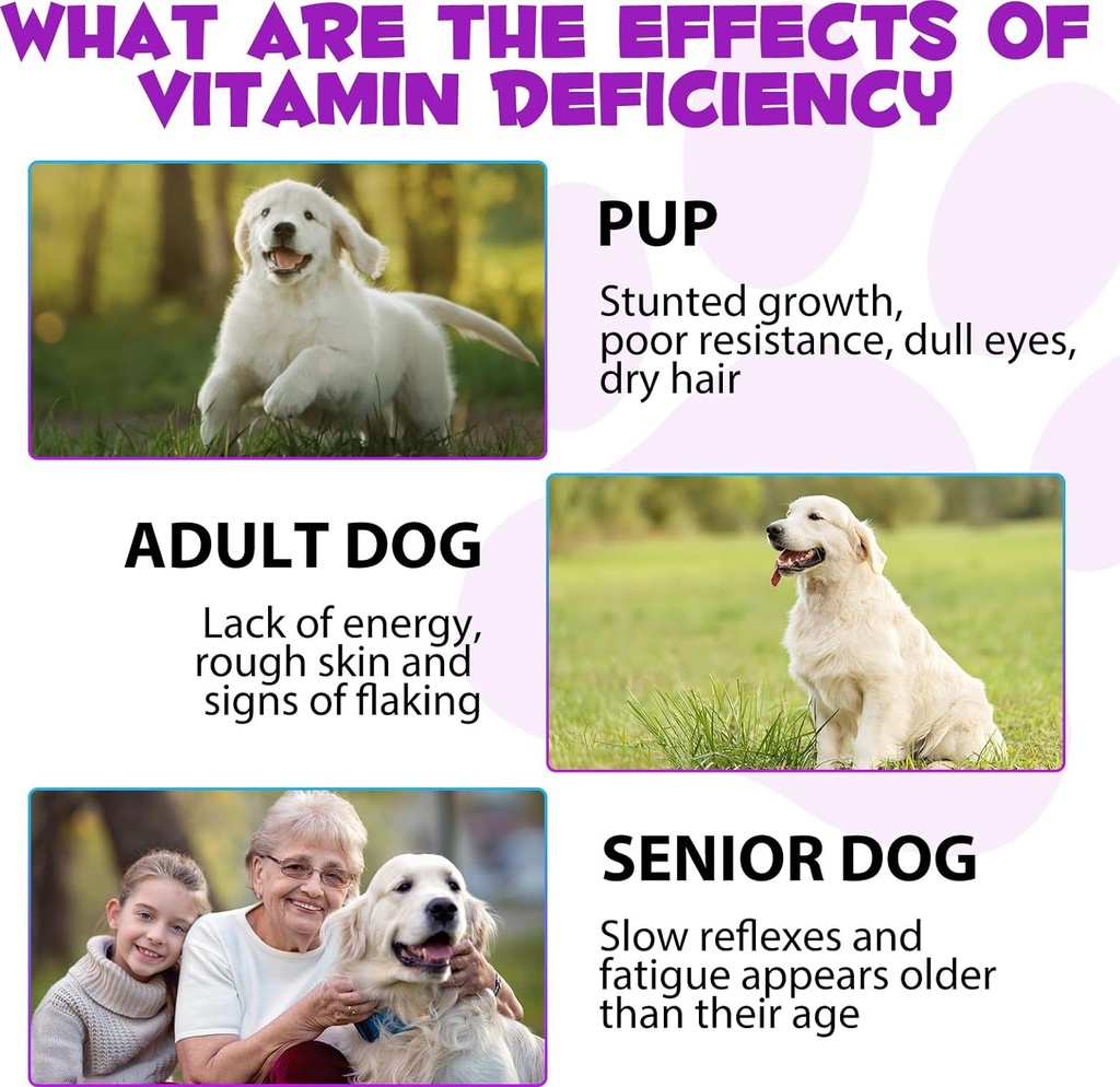 15-in-1-dog-multivitamin-drops-for-dogs--4.jpg