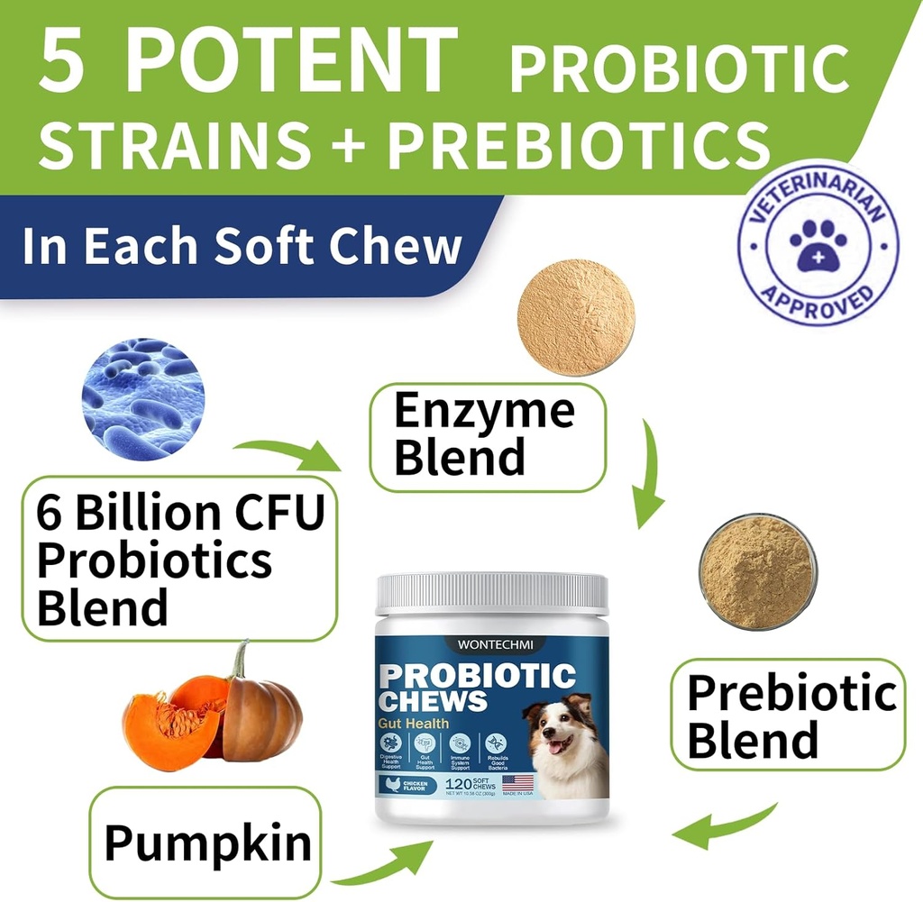 probiotics-for-dogs-improve-itchy-skin-i-3.jpg