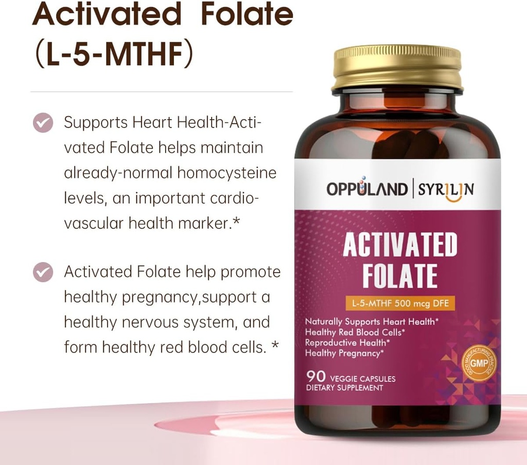 activated-folate-l-5-mthf-dfe-supplement-3.jpg