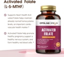 activated-folate-l-5-mthf-dfe-supplement-3.jpg
