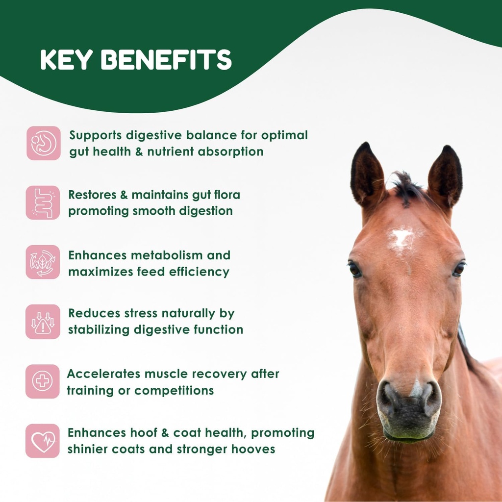 horse-probiotics-80cc-horse-paste-pre-an-2.jpg