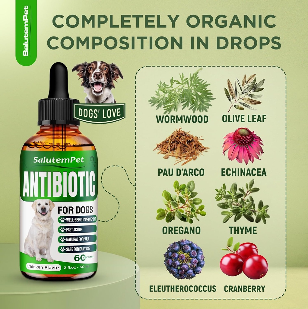 natural-antibiotics-for-dogs-dog-antibio-3.jpg