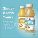 ginger-soother-lemon-honey-gingerade-dig-2.jpg
