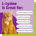 pet-naturals-lysine-for-cats-chicken-fla-4.jpg