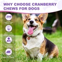 dog-uti-treatment-cranberry-supplement-f-6.jpg
