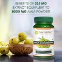 pure-nutrition-amla-extract-1000mg-per-s-6.jpg