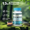 vegan-ashwagandha-sea-moss-gummies---bla-6.jpg