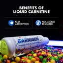 evogen-carnigen-premium-l-carnitine-liqu-5.jpg