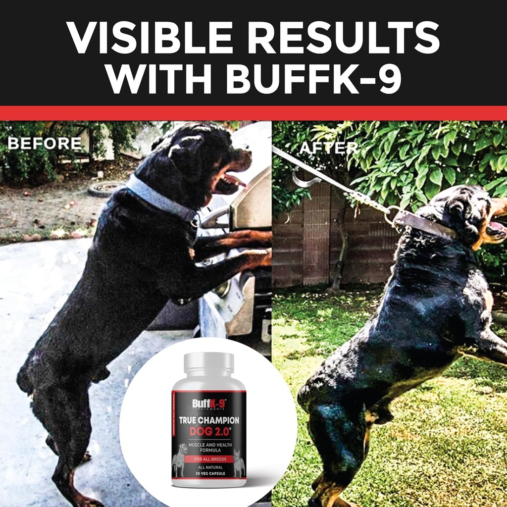 buffk-9-true-champ-20-muscle-building-su-6.jpg