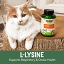 now-pet-health-l-lysine-supplement-powde-4.jpg
