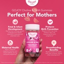 prenatal-choline-dha-gummies---preconcep-3.jpg
