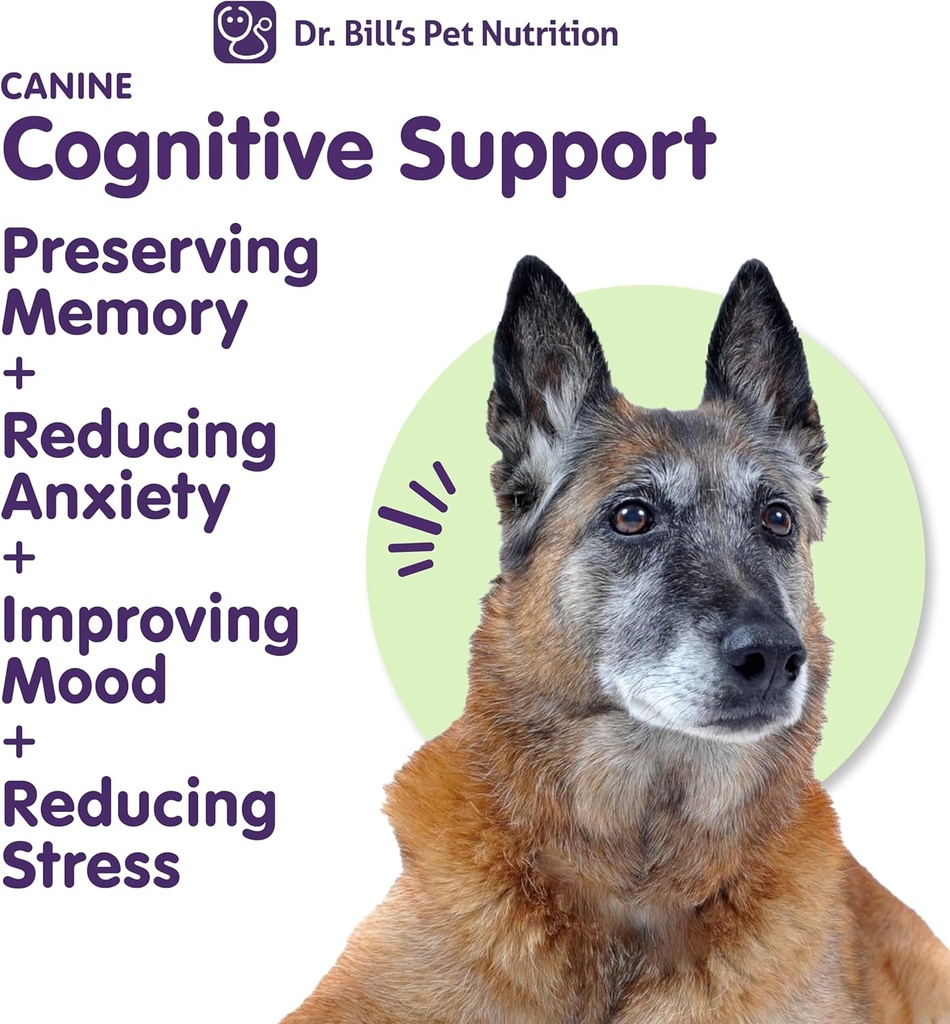 dr-bills-canine-cognitive-support-memory-3.jpg