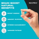 nootrix-brain-boost-nootropic-supplement-3.jpg