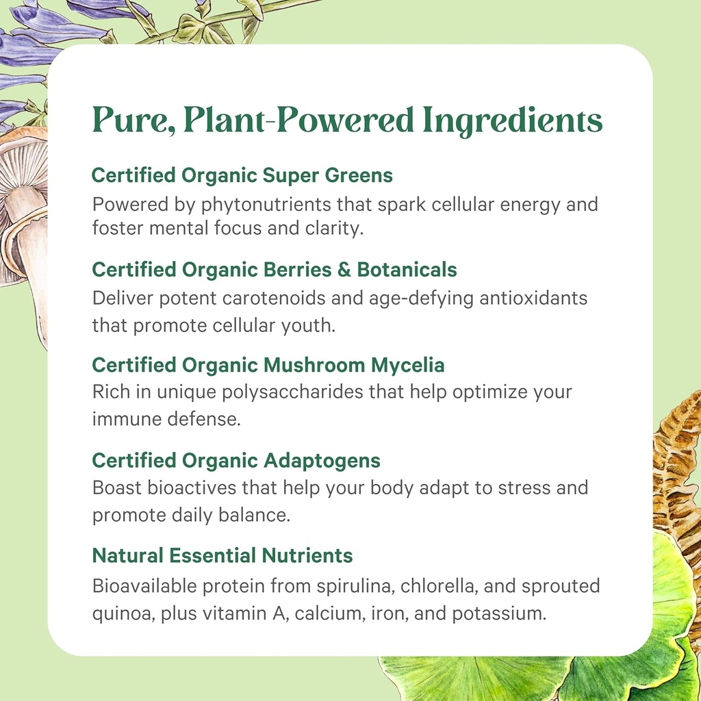 pure-synergy-organic-superfood-powder-gr-5.jpg