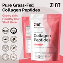 znt-collagen-hydrolysate-bag-10-oz-2.jpg