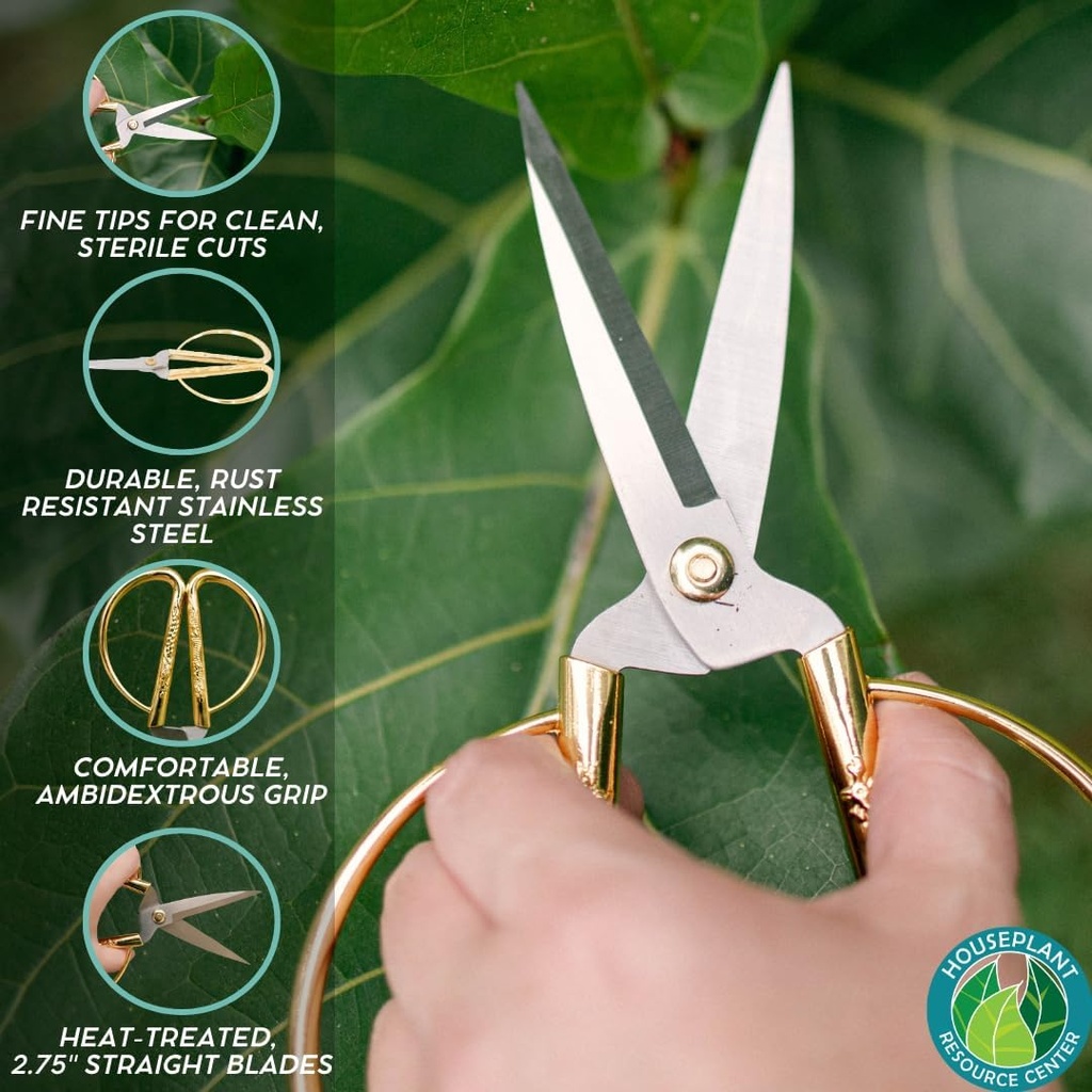 premium-houseplant-scissors-100-stainles-2.jpg
