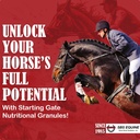 sbs-equine-starting-gate-granules---hors-2.jpg