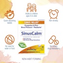boiron---sinus-calm-sinus-relief---1-eac-4.jpg