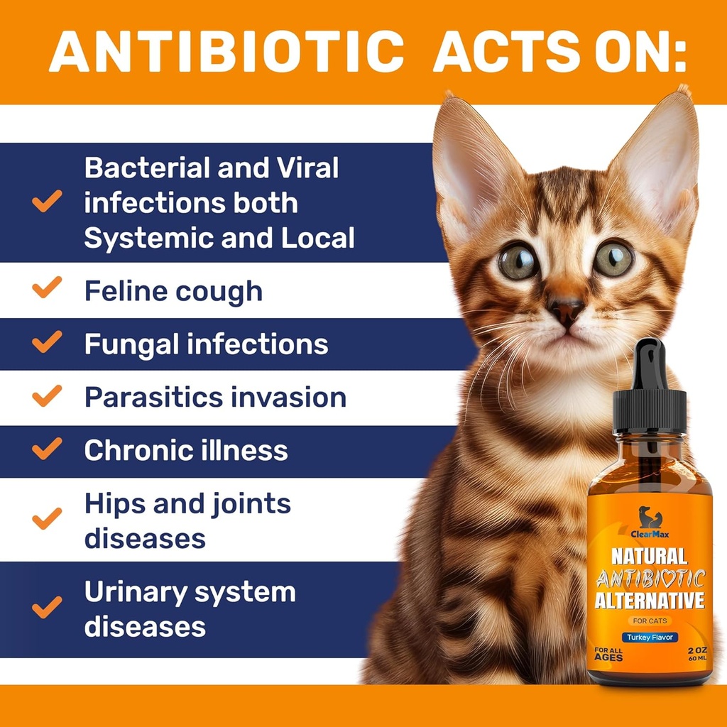 antibiotics-for-cats-in-drops-сat-respir-3.jpg