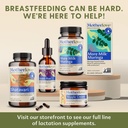 motherlove-more-milk-moringa-270-liquid--5.jpg