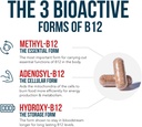 bioactive-vitamin-b12---5000-mcg-contain-3.jpg