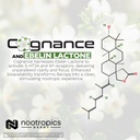 nootropics-depot-cognance-enhanced-bacop-5.jpg