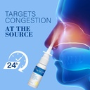 nasal-spray-rhinitis-spray-relief-from-a-4.jpg