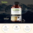 premium-himalayan-shilajit-capsules-from-2.jpg