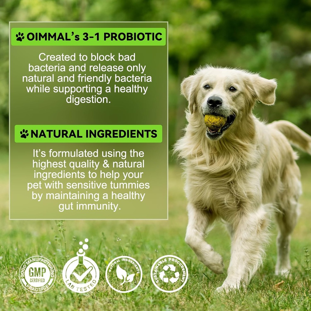 probiotics-for-dogs3-in-1-dog-probiotics-6.jpg