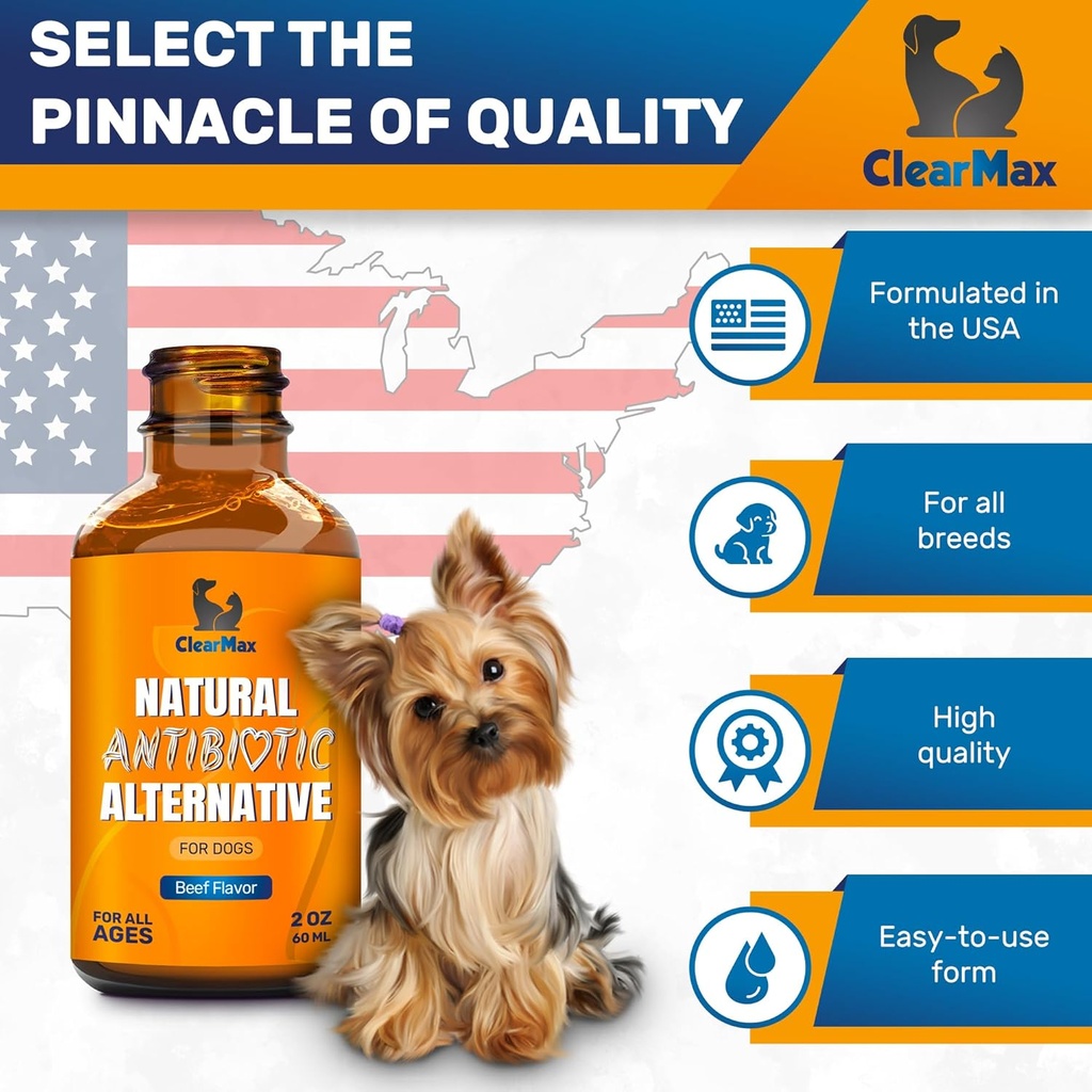 natural-antibiotics-for-dogs-for-allergi-6.jpg