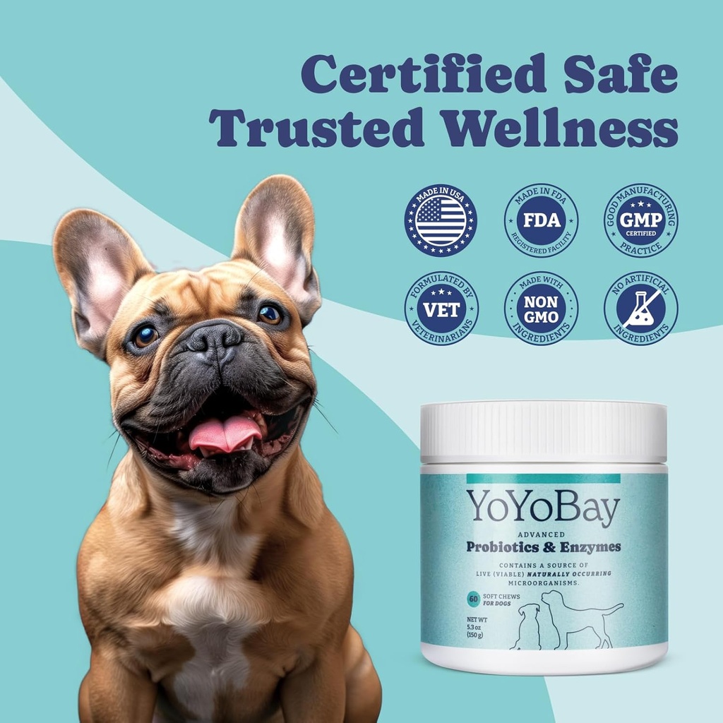probiotics-for-dogs-for-gut-health-and-d-5.jpg